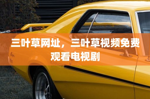 三叶草网址，三叶草视频免费观看电视剧