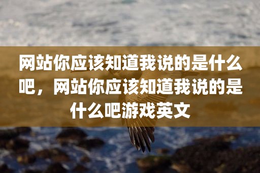 网站你应该知道我说的是什么吧，网站你应该知道我说的是什么吧游戏英文