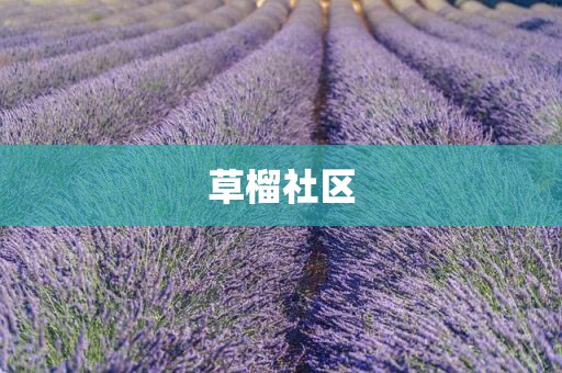 草榴社区