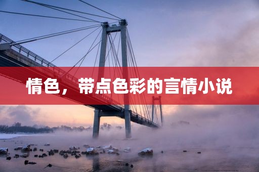 情色，带点色彩的言情小说