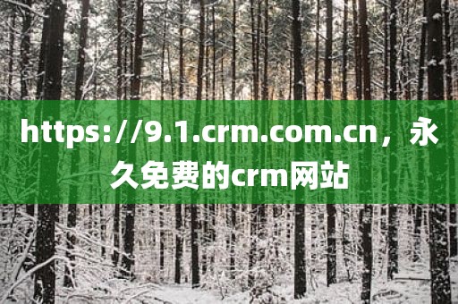 https://9.1.crm.com.cn，永久免费的crm网站