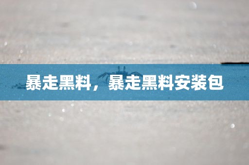 暴走黑料，暴走黑料安装包