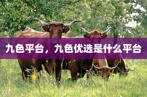 九色平台，九色优选是什么平台