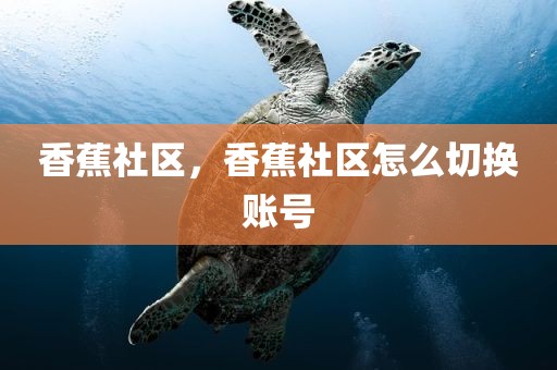 香蕉社区，香蕉社区怎么切换账号
