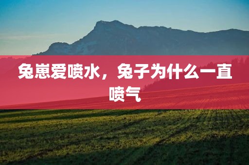 兔崽爱喷水，兔子为什么一直喷气