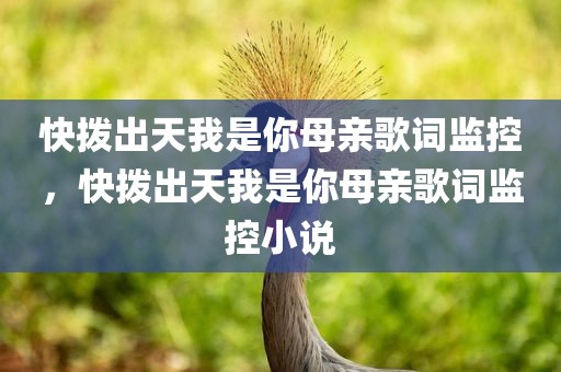 快拨出天我是你母亲歌词监控，快拨出天我是你母亲歌词监控小说
