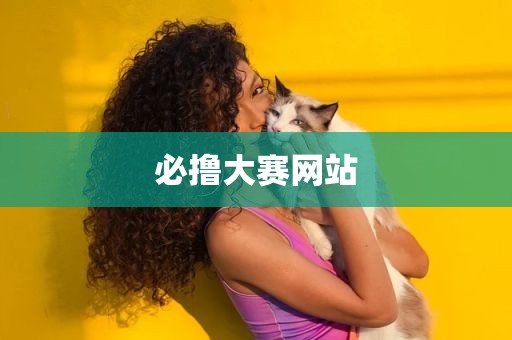必撸大赛网站