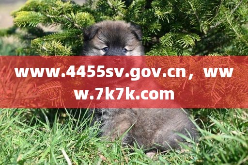 www.4455sv.gov.cn，www.7k7k.com