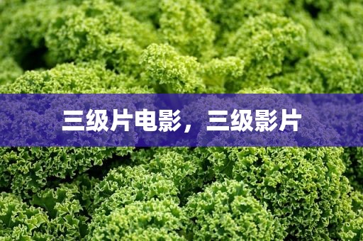 三级片电影，三级影片