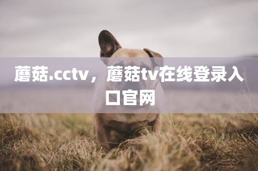 蘑菇.cctv，蘑菇tv在线登录入口官网
