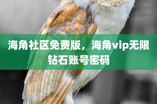 海角社区免费版，海角vip无限钻石账号密码