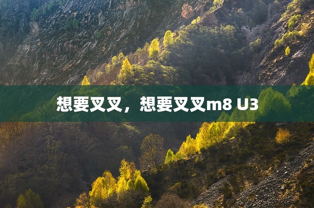 想要叉叉，想要叉叉m8 U3