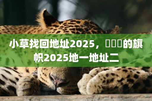 小草找回地址2025，逹葢薾的旗帜2025地一地址二