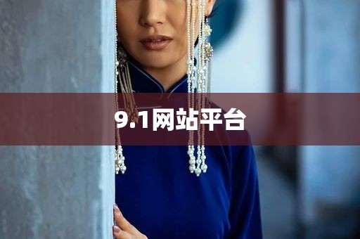 9.1网站平台