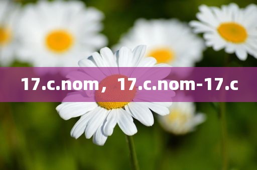 17.c.nom，17.c.nom-17.c