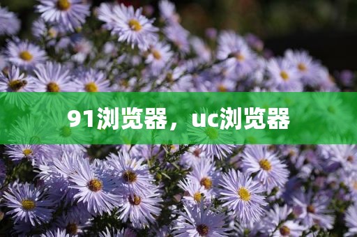 91浏览器，uc浏览器