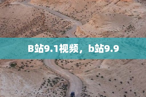 B站9.1视频，b站9.9