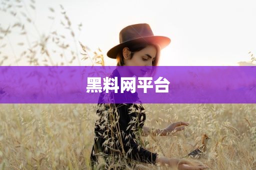 黑料网平台