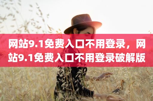 网站9.1免费入口不用登录，网站9.1免费入口不用登录破解版
