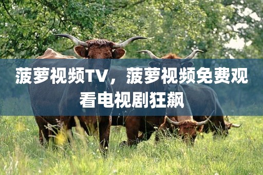 菠萝视频TV，菠萝视频免费观看电视剧狂飙