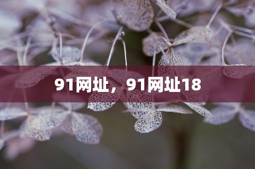 91网址，91网址18