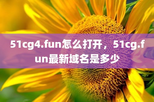 51cg4.fun怎么打开，51cg.fun最新域名是多少