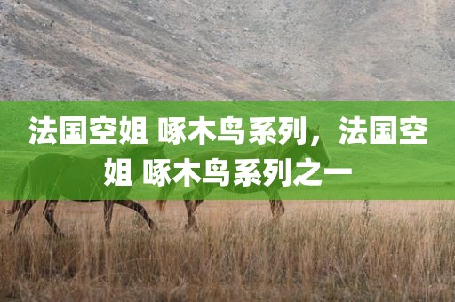 法国空姐 啄木鸟系列，法国空姐 啄木鸟系列之一