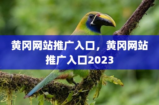 黄冈网站推广入口，黄冈网站推广入口2023
