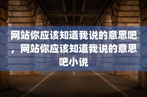 网站你应该知道我说的意思吧，网站你应该知道我说的意思吧小说