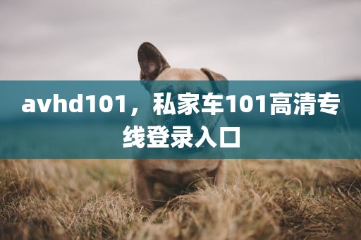 avhd101，私家车101高清专线登录入口