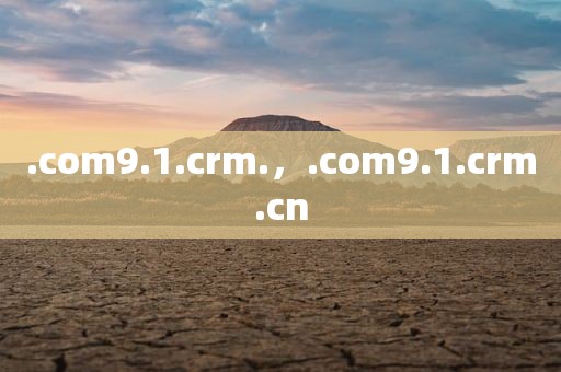 .com9.1.crm.，.com9.1.crm.cn
