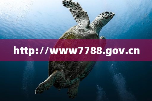 http://www7788.gov.cn
