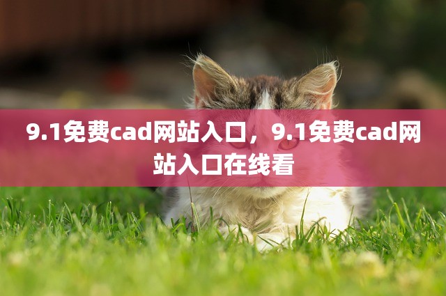 9.1免费cad网站入口，9.1免费cad网站入口在线看