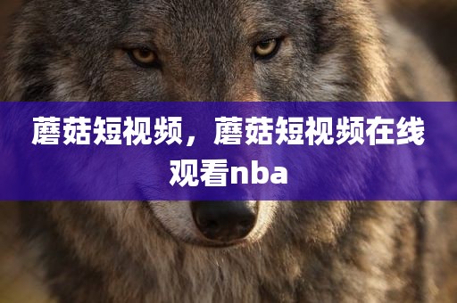 蘑菇短视频，蘑菇短视频在线观看nba