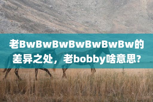 老BwBwBwBwBwBwBw的差异之处，老bobby啥意思?