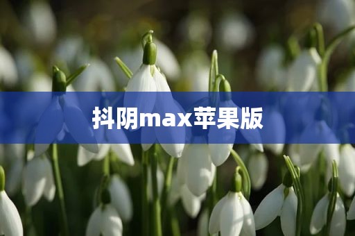 抖阴max苹果版