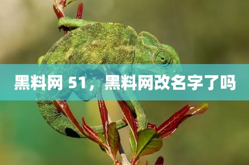 黑料网 51，黑料网改名字了吗
