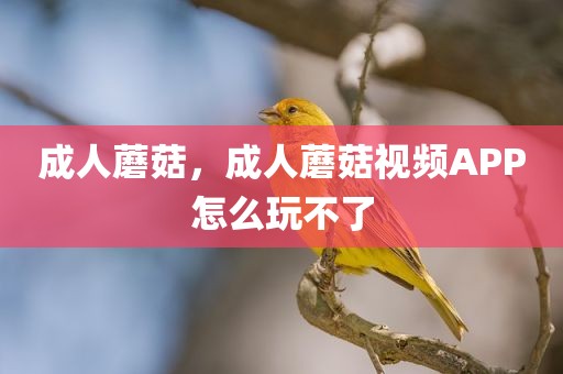 成人蘑菇，成人蘑菇视频APP怎么玩不了