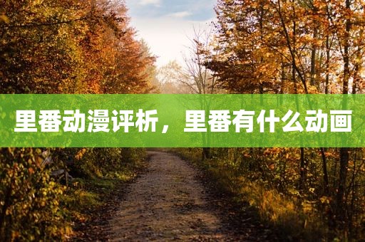 里番动漫评析，里番有什么动画