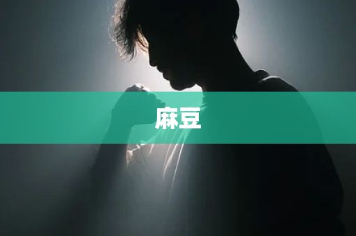 麻豆