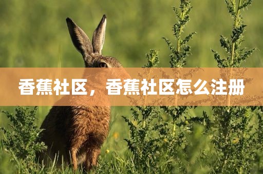 香蕉社区，香蕉社区怎么注册