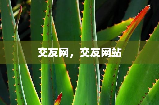 交友网，交友网站