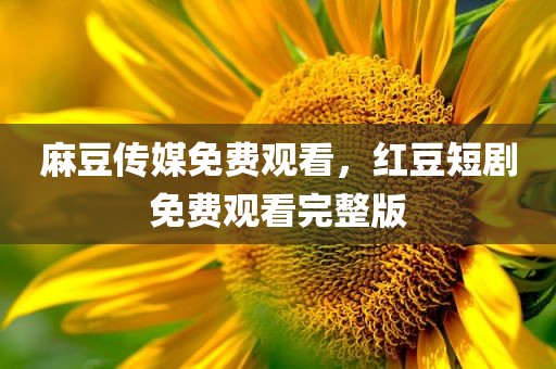 麻豆传媒免费观看，红豆短剧免费观看完整版