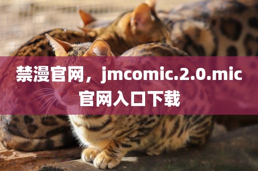 禁漫官网，jmcomic.2.0.mic官网入口下载