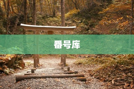 番号库