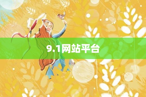 9.1网站平台