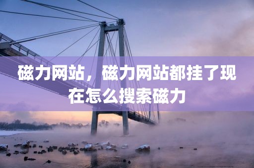 磁力网站，磁力网站都挂了现在怎么搜索磁力