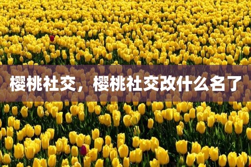 樱桃社交，樱桃社交改什么名了