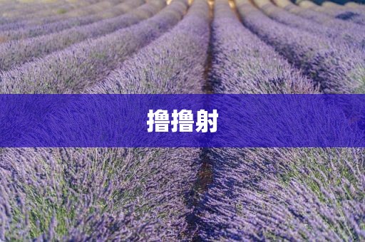 撸撸射
