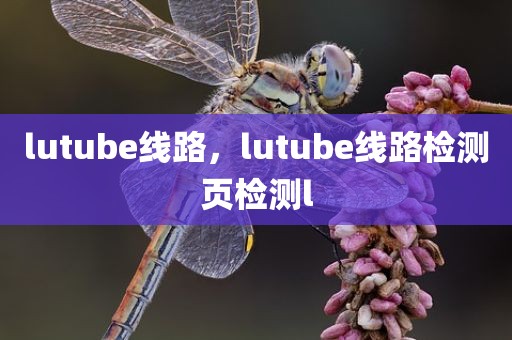 lutube线路，lutube线路检测页检测l